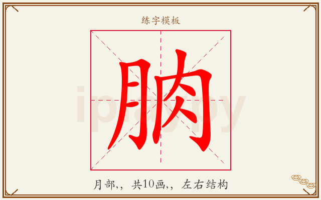 朒字图文介绍