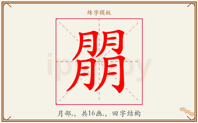 朤字图文介绍