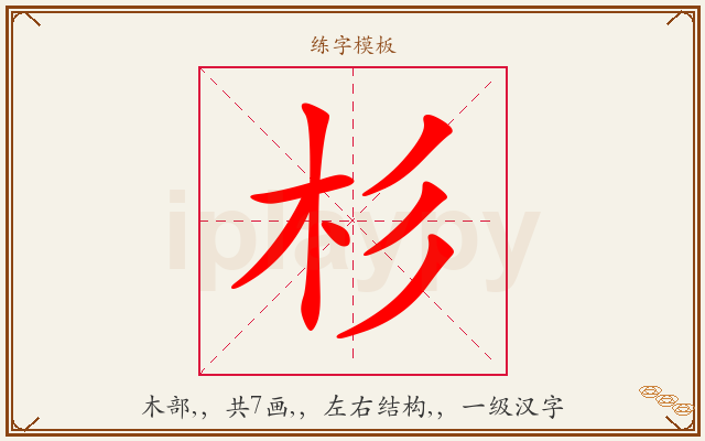 杉字图文介绍