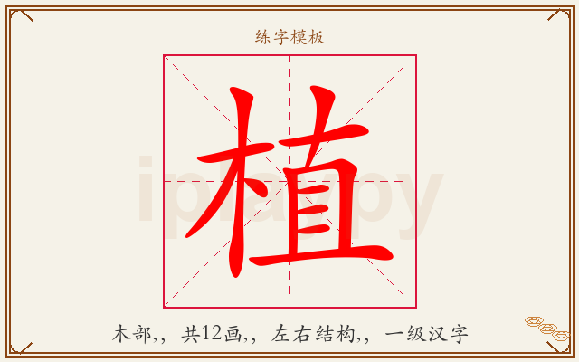 植字图文介绍