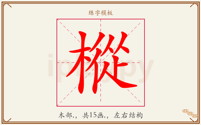 樅字图文介绍