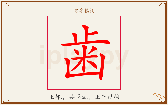 歯字图文介绍