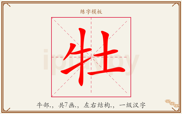 牡字图文介绍