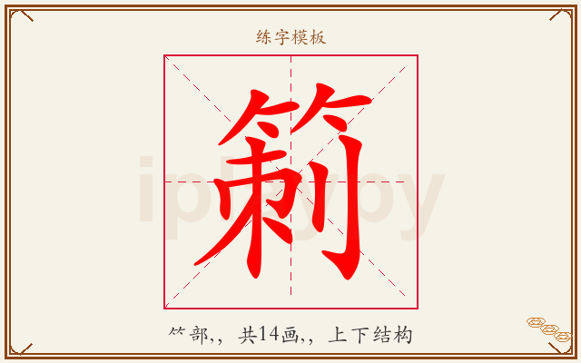 箣字图文介绍