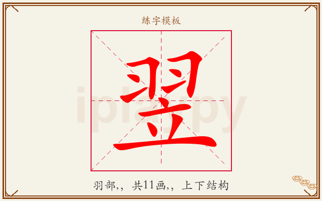 翌字图文介绍