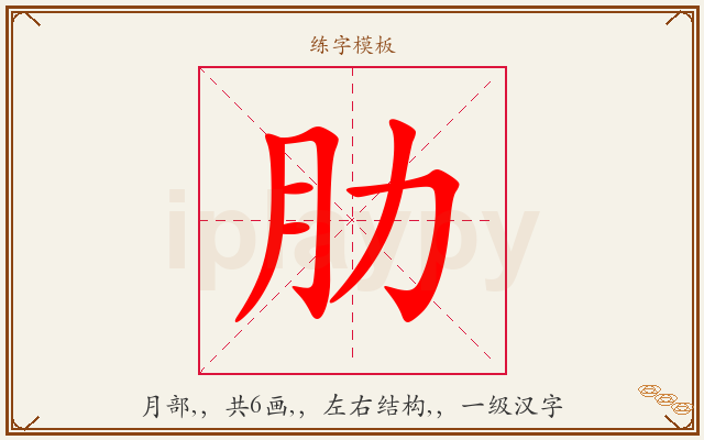 肋字图文介绍