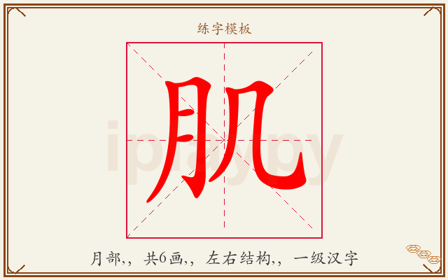 肌字图文介绍