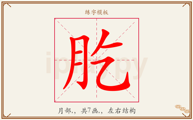 肐字图文介绍
