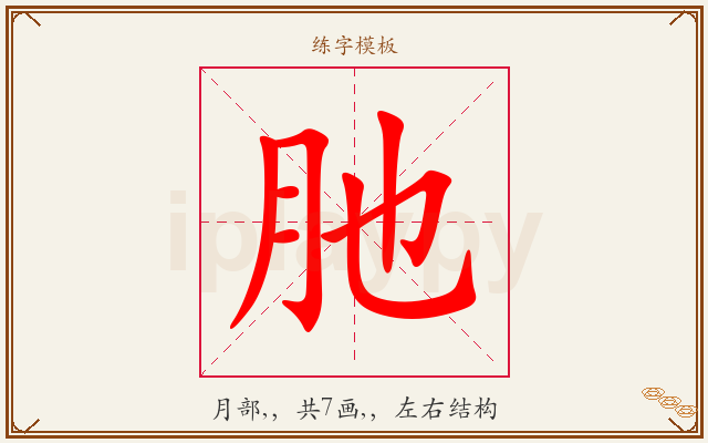 肔字图文介绍