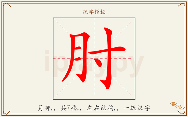 肘字图文介绍