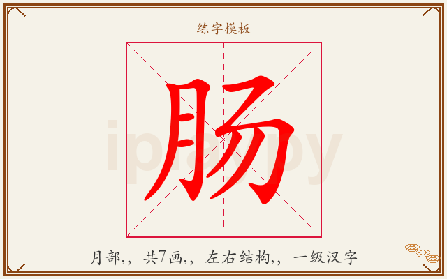 肠字图文介绍