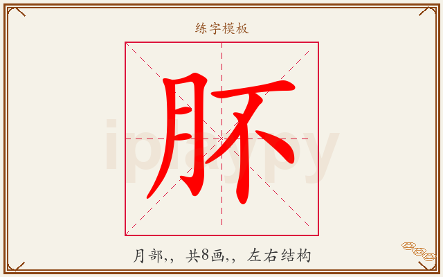肧字图文介绍