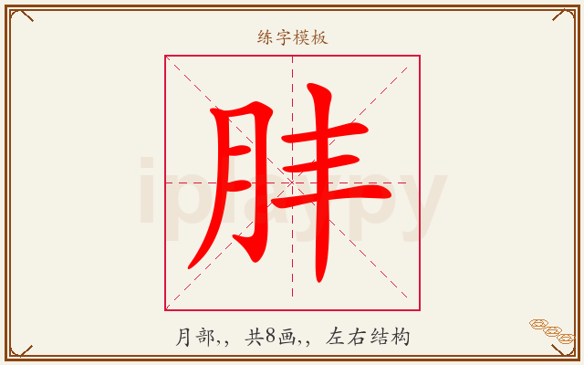 肨字图文介绍