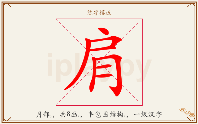 肩字图文介绍
