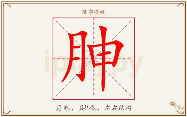 胂字图文介绍