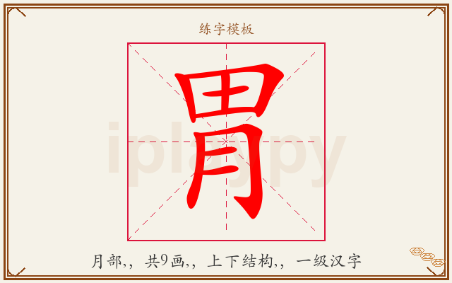 胃字图文介绍