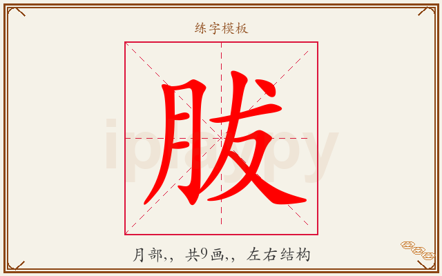 胈字图文介绍