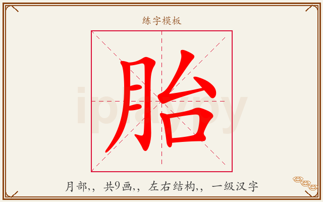 胎字图文介绍