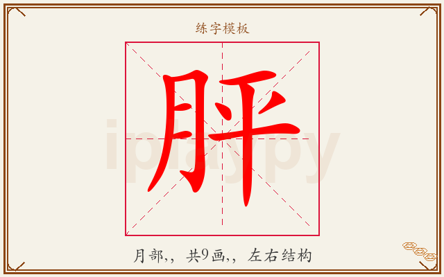 胓字图文介绍