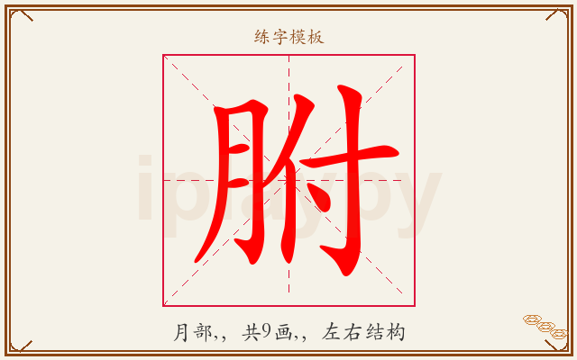 胕字图文介绍