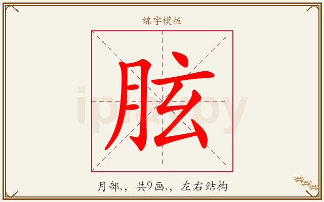 胘字图文介绍