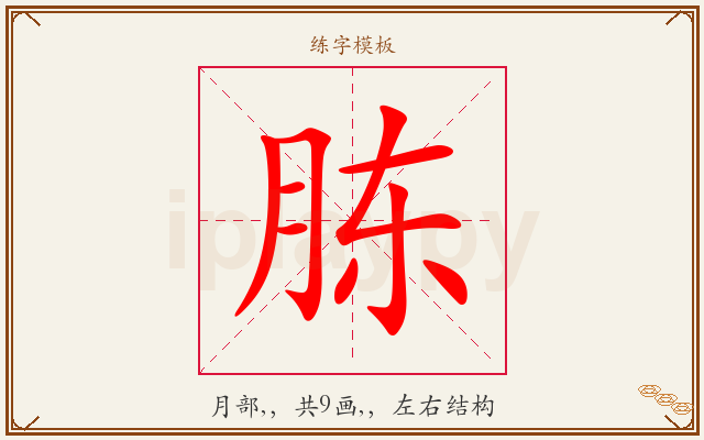 胨字图文介绍