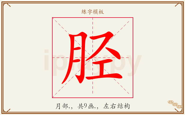 胫字图文介绍