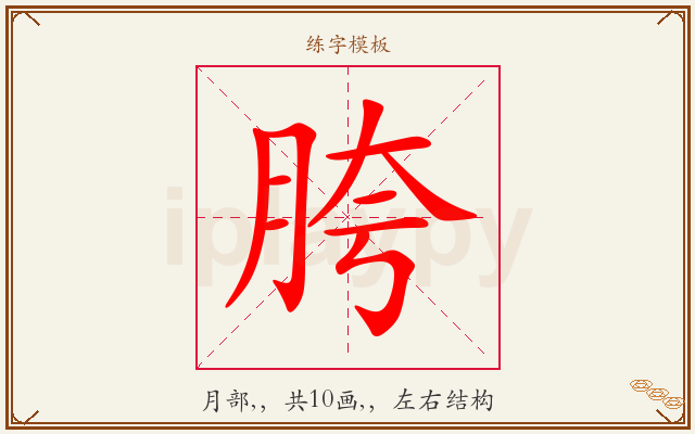 胯字图文介绍