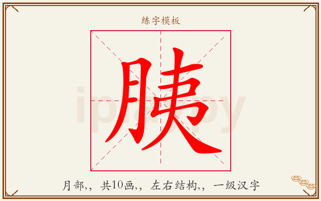 胰字图文介绍