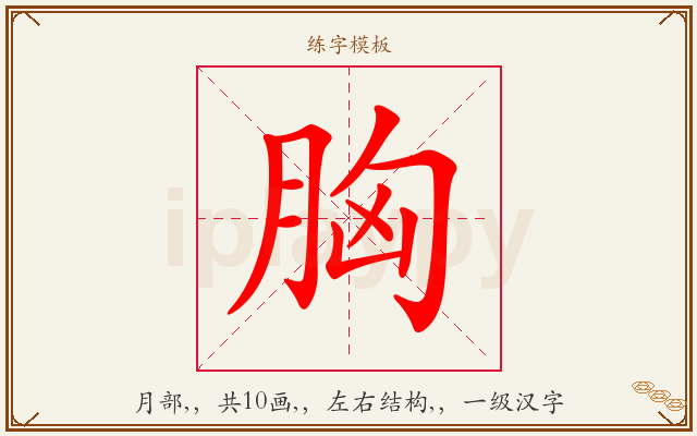 胸字图文介绍