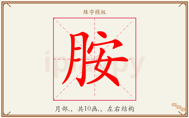 胺字图文介绍