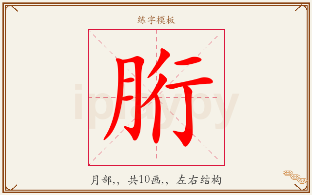 胻字图文介绍