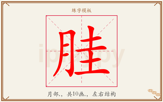 胿字图文介绍
