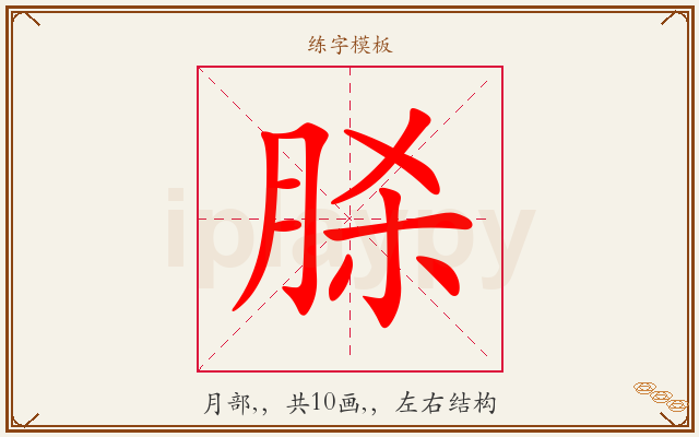 脎字图文介绍
