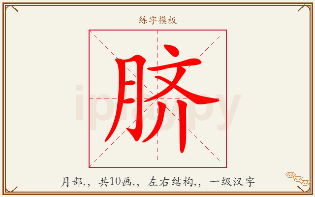 脐字图文介绍