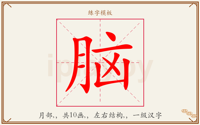 脑字图文介绍