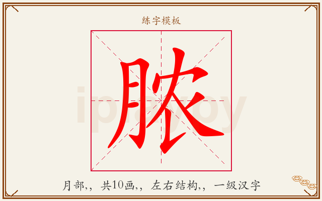 脓字图文介绍
