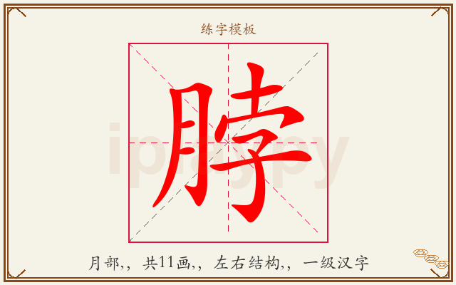 脖字图文介绍