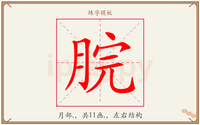 脘字图文介绍
