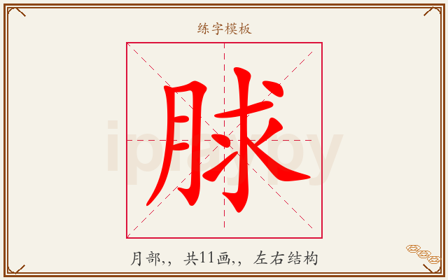 脙字图文介绍
