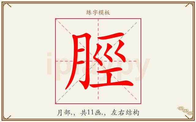 脛字图文介绍