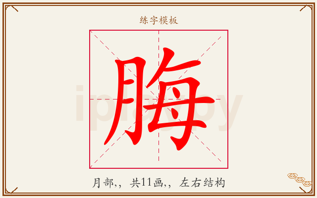 脢字图文介绍