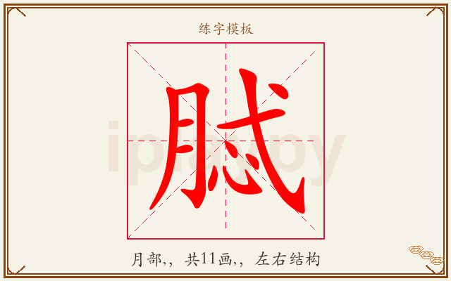 脦字图文介绍