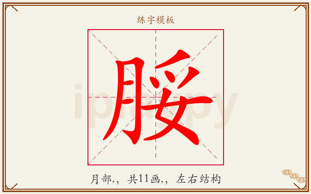 脮字图文介绍