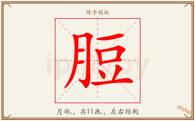 脰字图文介绍