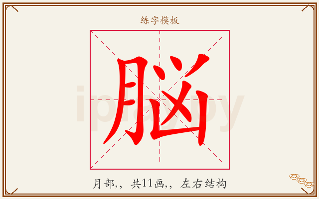 脳字图文介绍