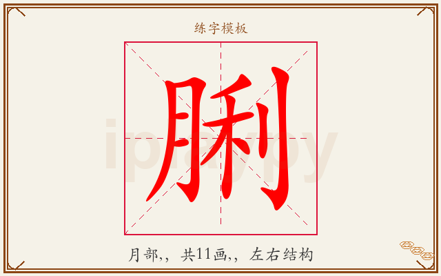 脷字图文介绍