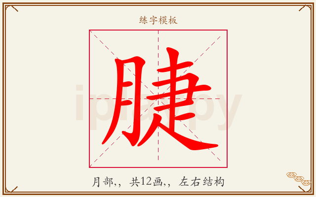 脻字图文介绍