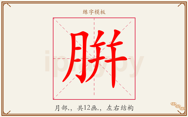 腁字图文介绍