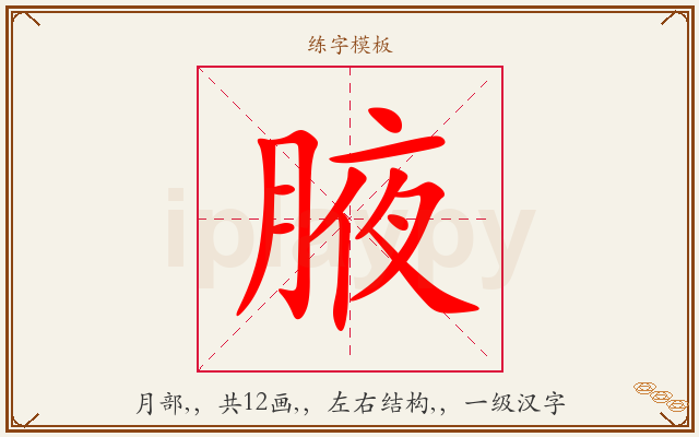 腋字图文介绍